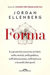 Forma. La geometria nascosta nei dati, nella società, nella politica, nell'informazione, nell'universo e in molti altri posti -