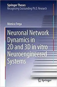 Neuronal Network Dynamics in 2D and 3D in vitro Neuroengineered Systems