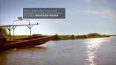 Journey with Dylan Dreyer S02E14