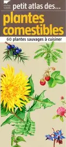 Vincent Albouy, Claire Felloni, "Petit atlas des plantes comestibles : 60 Plantes sauvages à cuisiner" (repost)