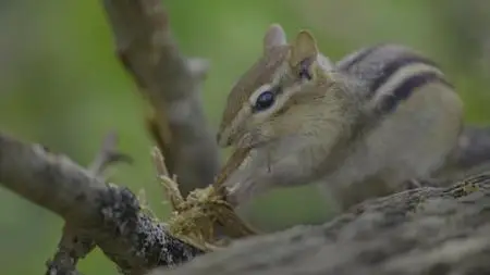 Tiny World S01E05