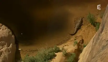 (Fr5) Un Eden au Sahara (2010)