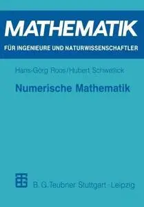 Numerische Mathematik: Das Grundwissen für jedermann