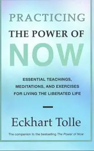Practising the Power of Now: Essential Teachings, Meditations and Exercises for Living the Liberated Life