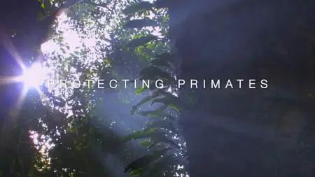 PBS - Nature: Protecting Primates (2020)