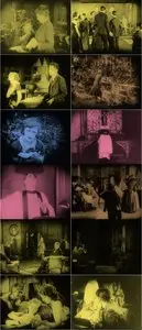 The White Rose (1923)