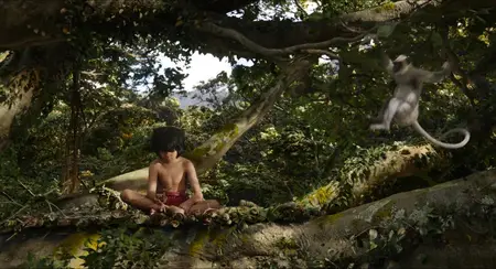 The Jungle Book (2016)