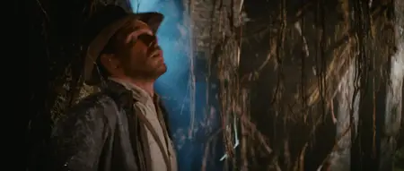 Raiders of the Lost Ark (1981)