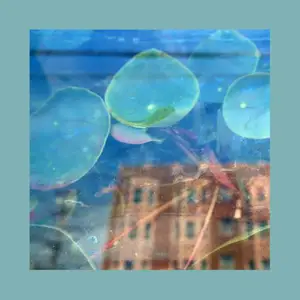 The Reds, Pinks and Purples - Acknowledge Kindness (2026)