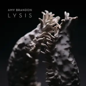 Amy Brandon - Lysis (2024) [Official Digital Download 24/96]