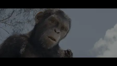 Kingdom of the Planet of the Apes (2024) [Hybrid] [4K, Ultra HD]