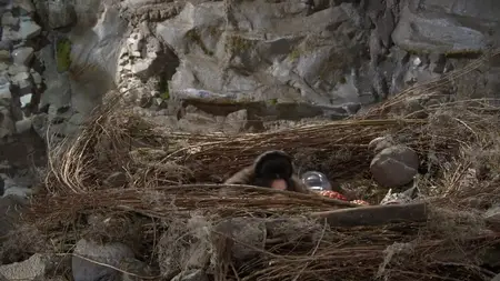 Wizards Beyond Waverly Place S02E02
