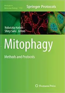 Mitophagy: Methods and Protocols