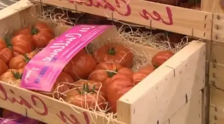(Fr5) Les dessous des produits frais (2012)
