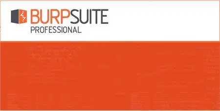 Burp Suite Professional 1.7.37