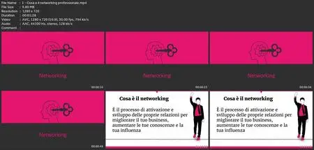 Networking Professionale - La Scalata Al Successo