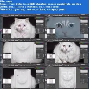 TutsPlus - Vector Pet Portraits: Cats!