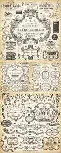 Vintage Calligraphic Design Elements Vector