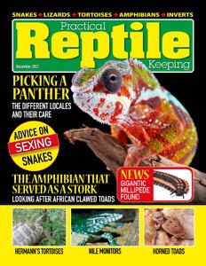 Practical Reptile Keeping - December 2021