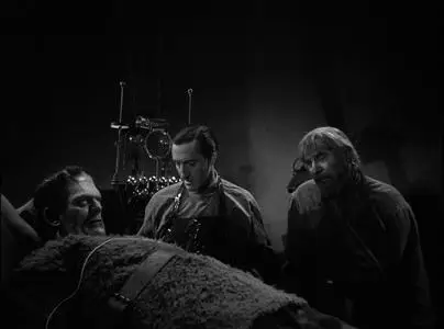 Het monster van Frankenstein / Son of Frankenstein (1939)