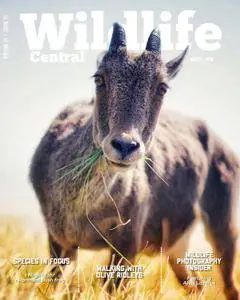 Wildlife Central - March 2018