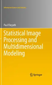 Statistical Image Processing and Multidimensional Modeling (repost)