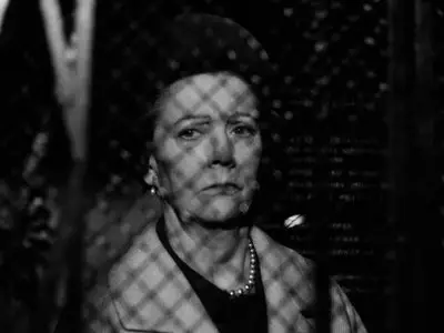 Jag är nyfiken - en film i gult / I Am Curious (Yellow) (1967) [The Criterion Collection]