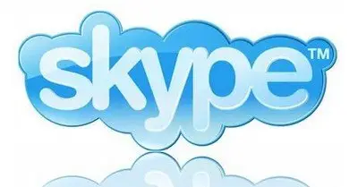 Skype 4.1.0.141 Portable