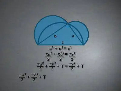 TTC - Mathematics from the Visual World [reduced]