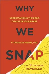 Why We Snap: Understanding the Rage Circuit in Your Brain