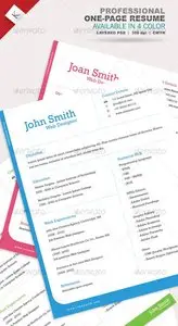 GraphicRiver Professional One-Page Resume