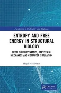 Entropy and Free Energy in Structural Biology: From Thermodynamics to Statistical Mechanics to Computer Simulation