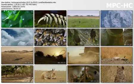 BBC Earth - Hidden India / Verborgenes Indien (2015)