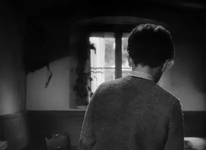 The Divided Heart (1954)