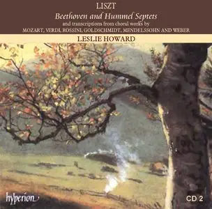 Liszt Complete Music for Solo Piano (95 CD box), Howard