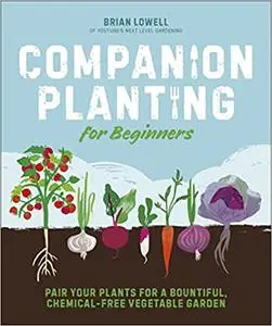 Companion Planting for Beginners: Pair Your Plants for a Bountiful, Chemical-Free Vegetable Garden