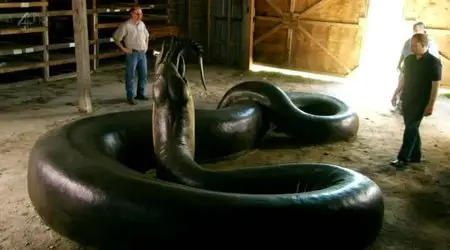 Channel 4 - The World's Largest Snake (2012)
