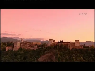 (Arte) Architectures : L'Alhambra de Grenade (2008)