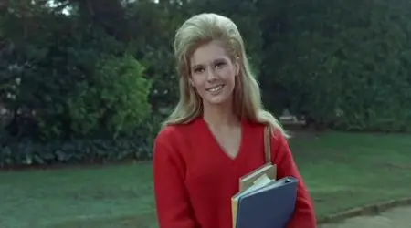 Riot on Sunset Street (1967)