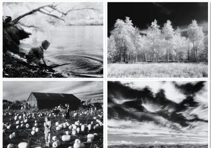 HQ Black & White Nature Images