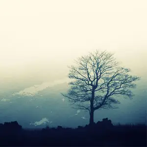 VA - Hidden Landscapes (2011)