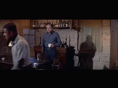 From Hell to Texas (1958)