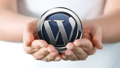 WordPress: Make A Professional Website With No Coding