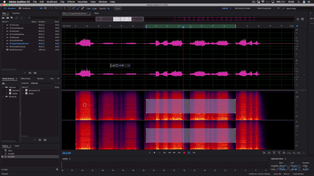 Editing Audio with Adobe Audition