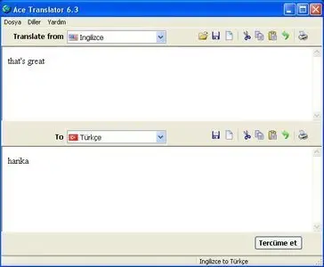 Ace Translator 8.1.0.392 Portable