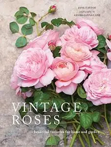 Vintage Roses: Beautiful varieties for home and garden