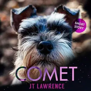 «Comet» by JT Lawrence