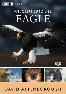 BBC Wildlife Specials : Eagle