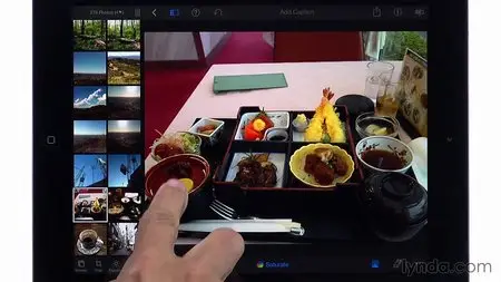 Lynda: iPhoto for iOS Essential Training with Garrick Chow [repost]