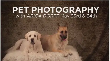 Pet Photography with Arica Dorff